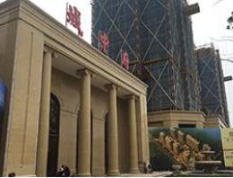杭州临安城中府